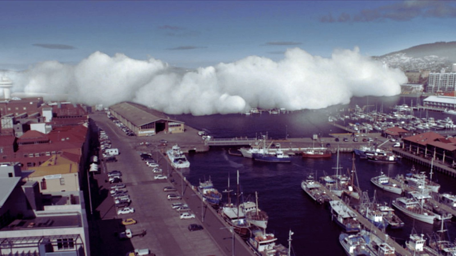 Arctic Blast Movie Review