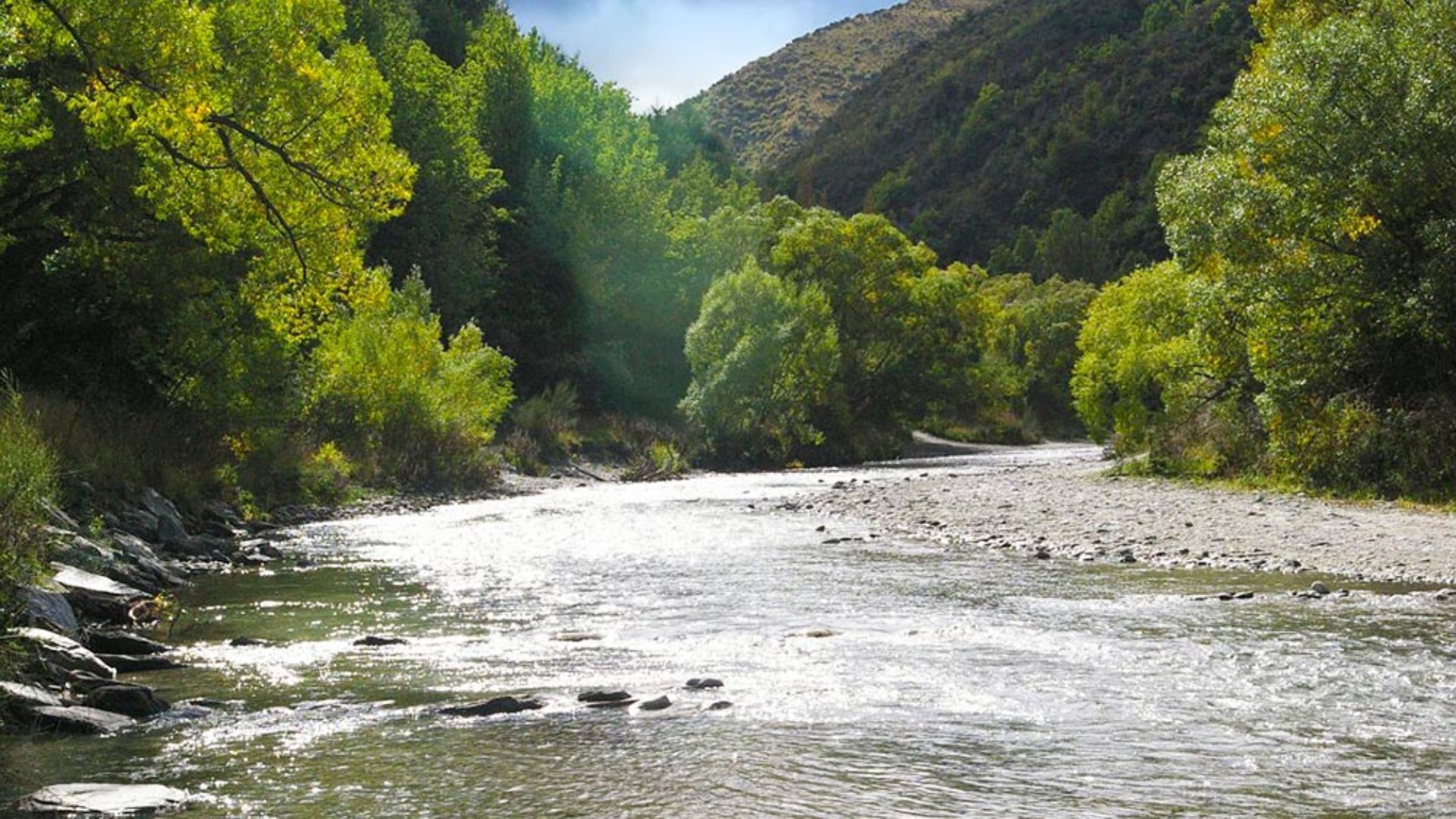 A serene river flows through a lush forest, surrounded by trees and scattered rocks.