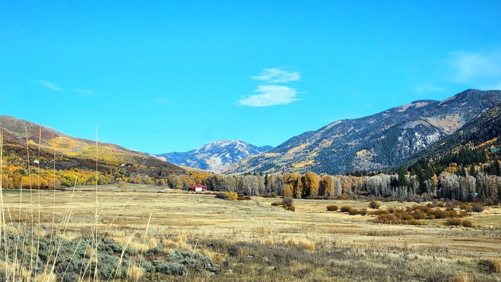 A scenic view of colorful fall foliage on mountains surrounded by trees, showcasing vibrant autumn hues.