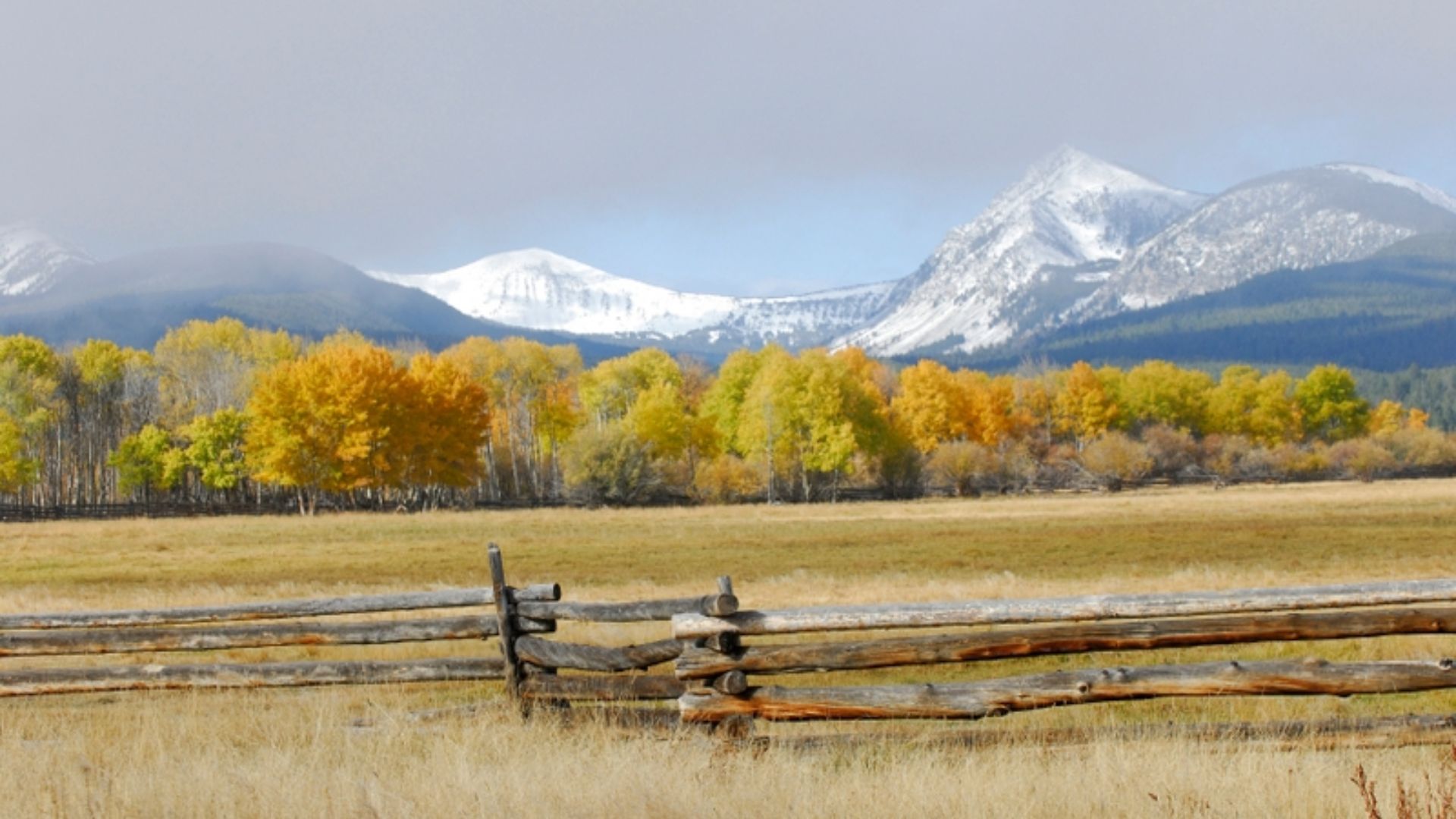 A wooden fence in front of a snow-capped mountain range, surrounded by evergreen trees under a clear blue sky.