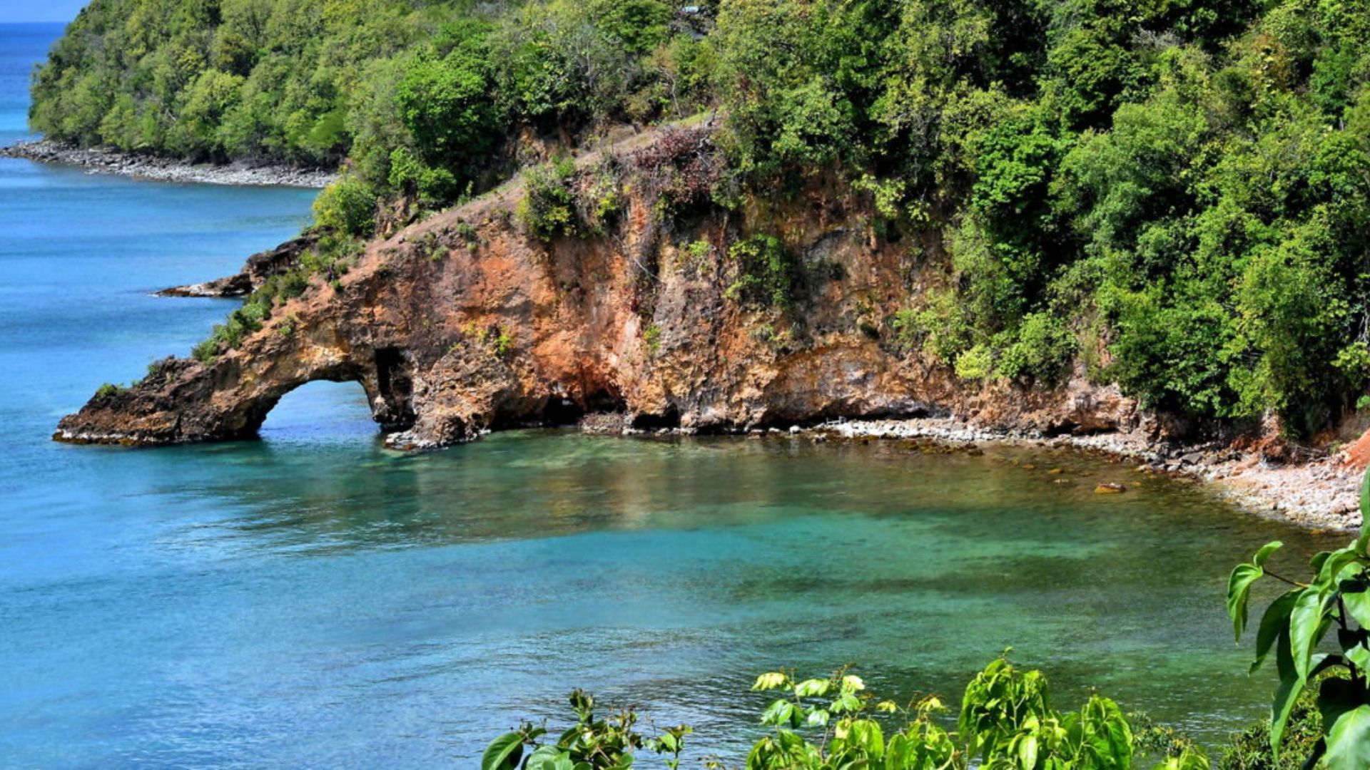 Rocky Caribbean coastline with clear blue waters and lush greenery in the background under a bright sky.