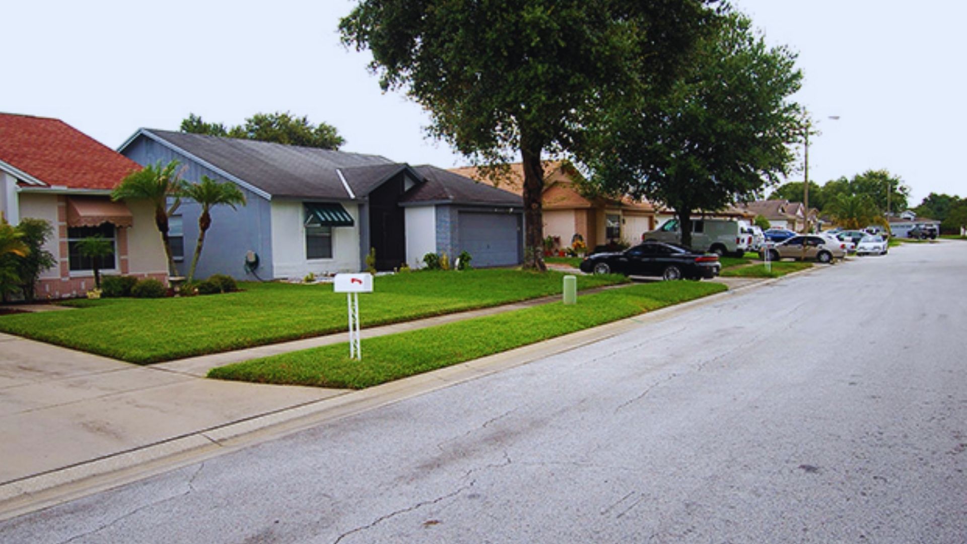  A row of houses flanking a street sign positioned centrally along the road.
