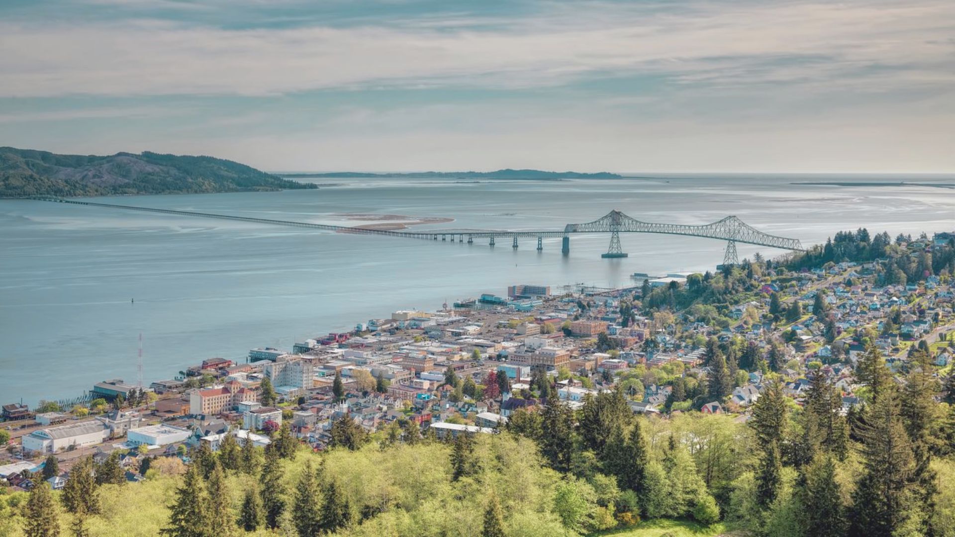 A cityscape showcasing a bridge that elegantly crosses over the urban area below.