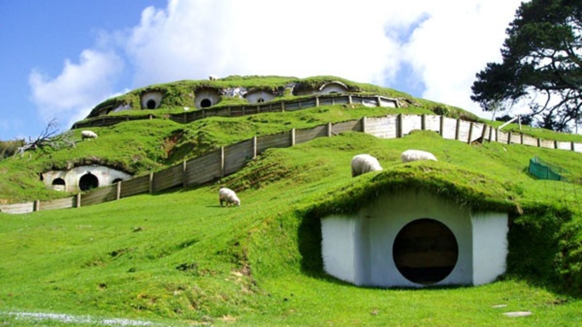 Scenic view of Hobbiton in New Zealand, featuring lush green hills and iconic hobbit holes.