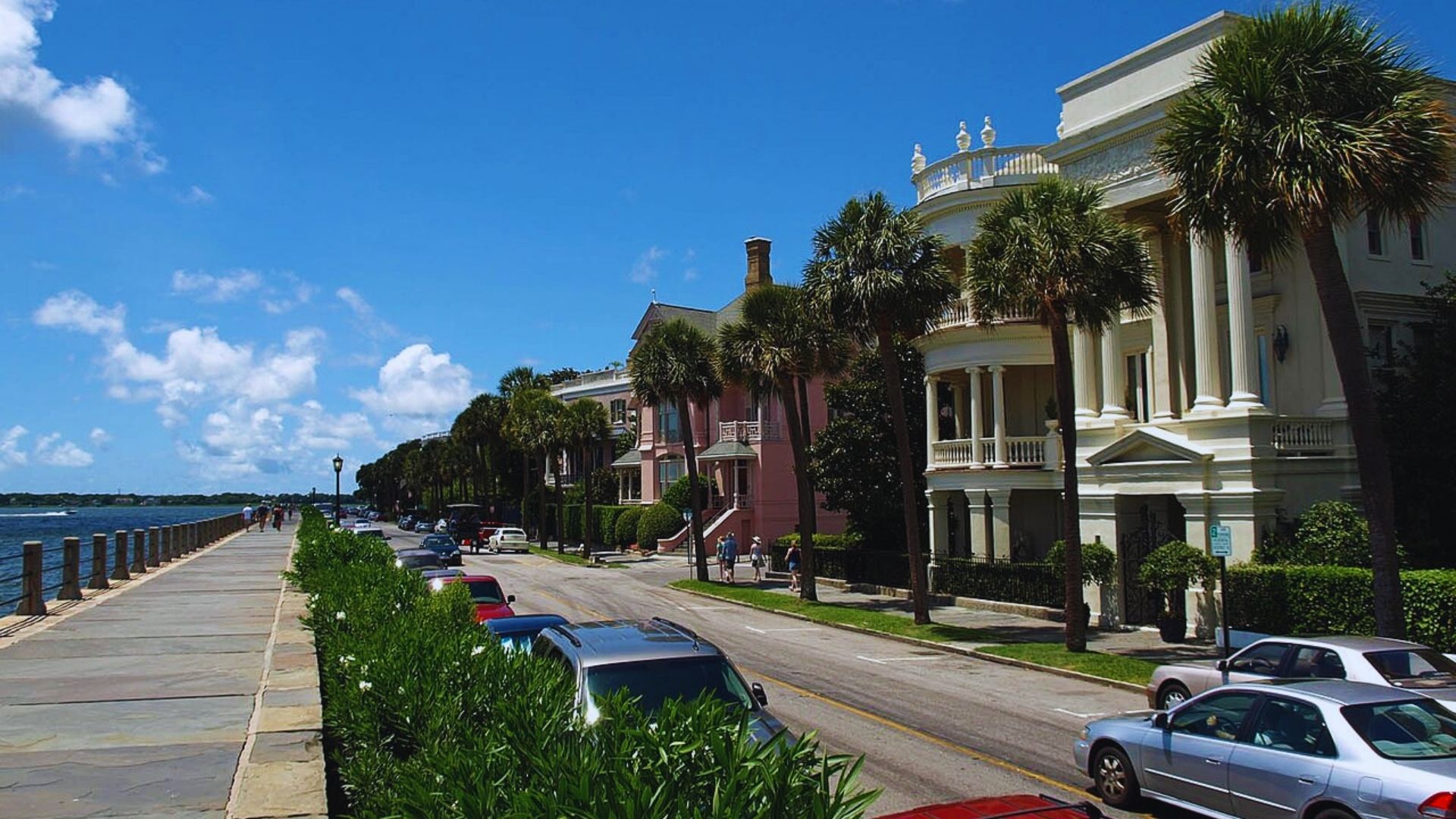 A city street featuring palm trees and parked cars, creating a vibrant urban atmosphere.