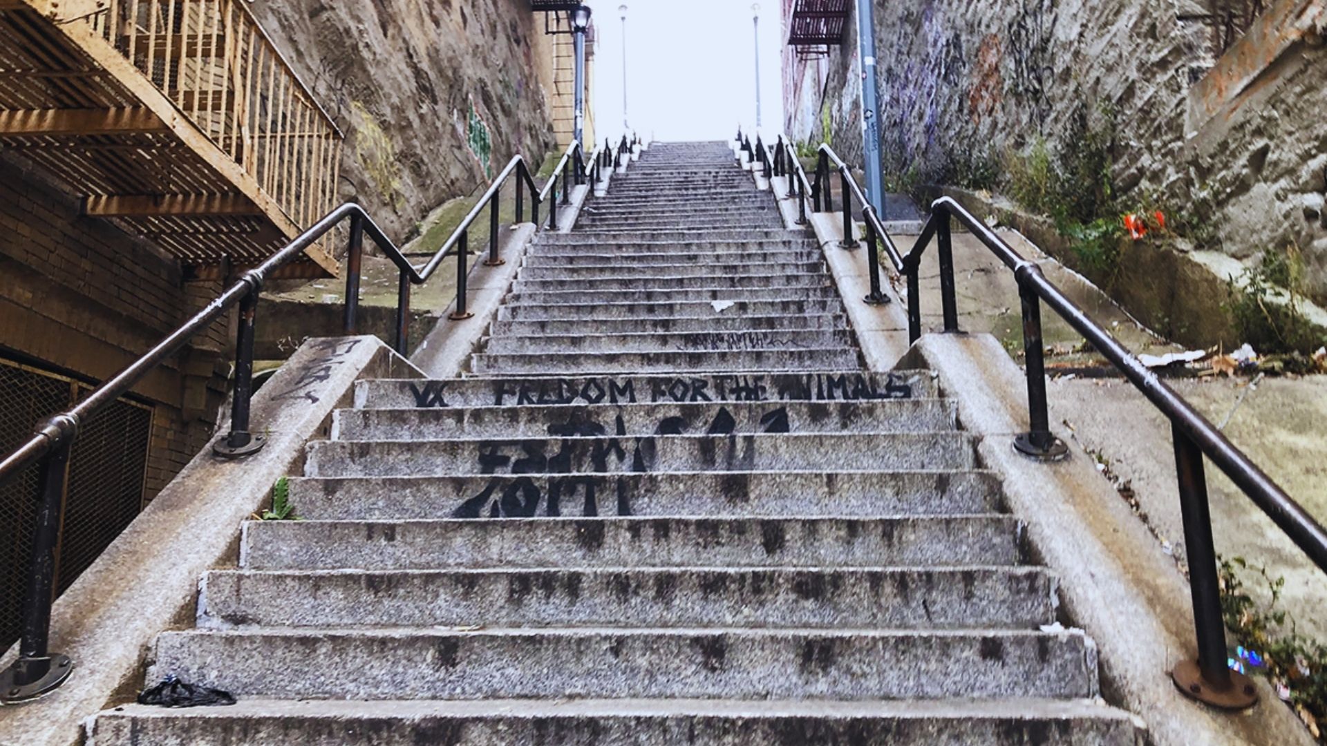 A set of stairs covered in colorful graffiti, showcasing various artistic designs and messages.