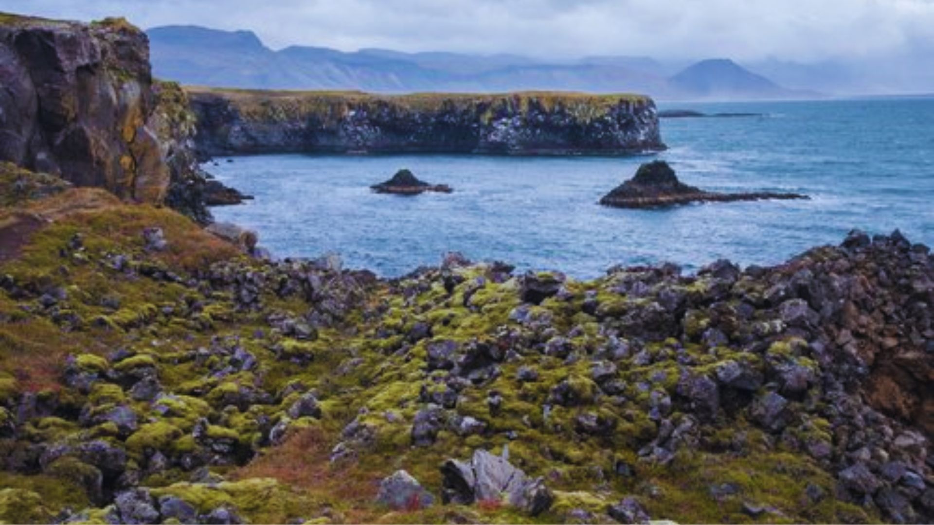 Rugged coastal landscape with moss-covered rocks and cliffs, dark sea stacks emerging from the ocean under a cloudy sky; conveys a serene, wild atmosphere.