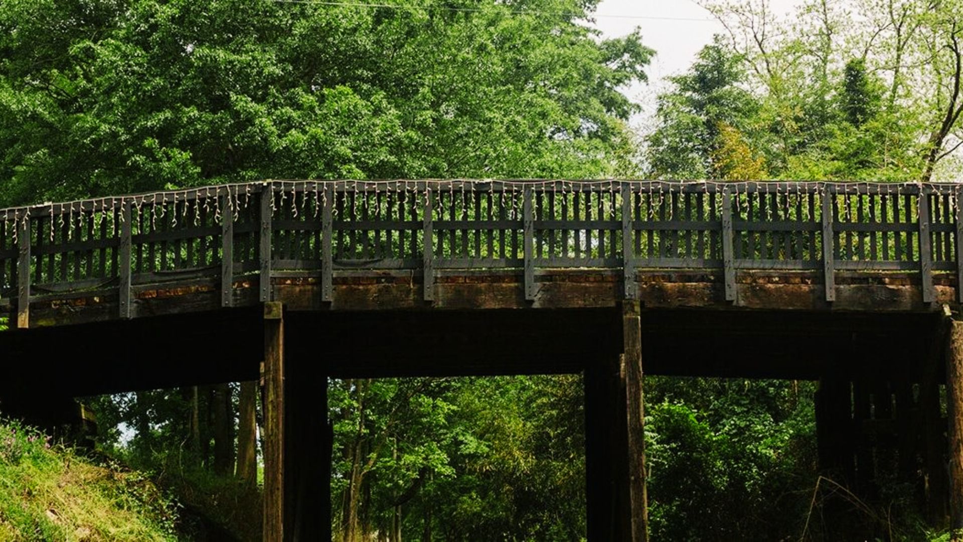 A bridge spans a river surrounded by trees and grass, showcasing a scenic view from The Walking Dead filming location.