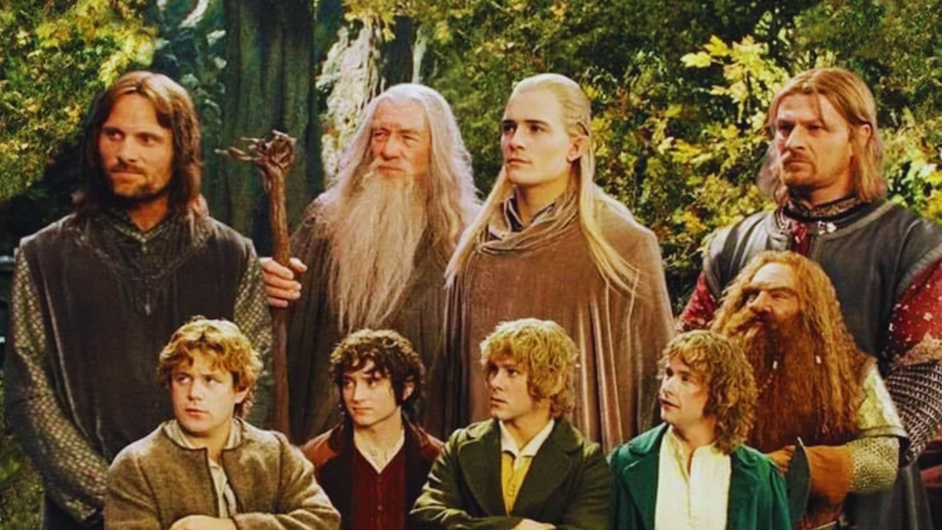 A diverse group of eight characters stands amidst a lush forest backdrop. Their expressions ranging from serious to curious, wearing medieval-style attire.
