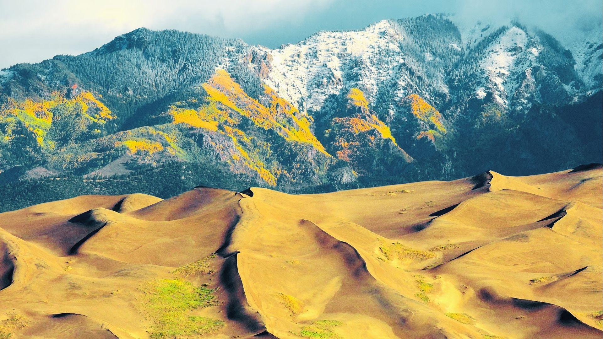 Golden sand dunes roll beneath snowcapped mountains with autumn yellow aspens and evergreen forests