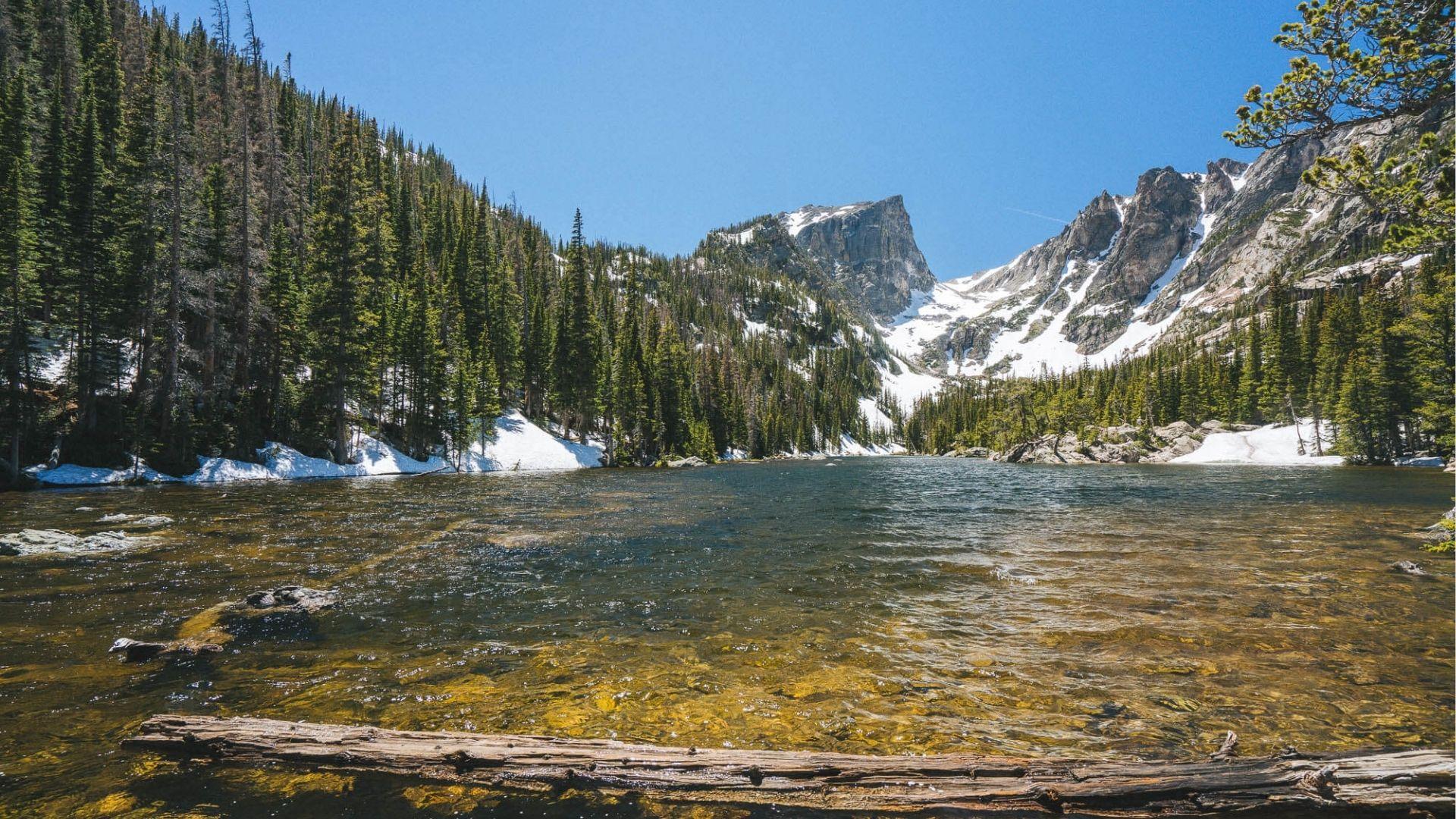 Crystal clear alpine lake reflects snowcapped peaks and pine forest with driftwood along rocky shore