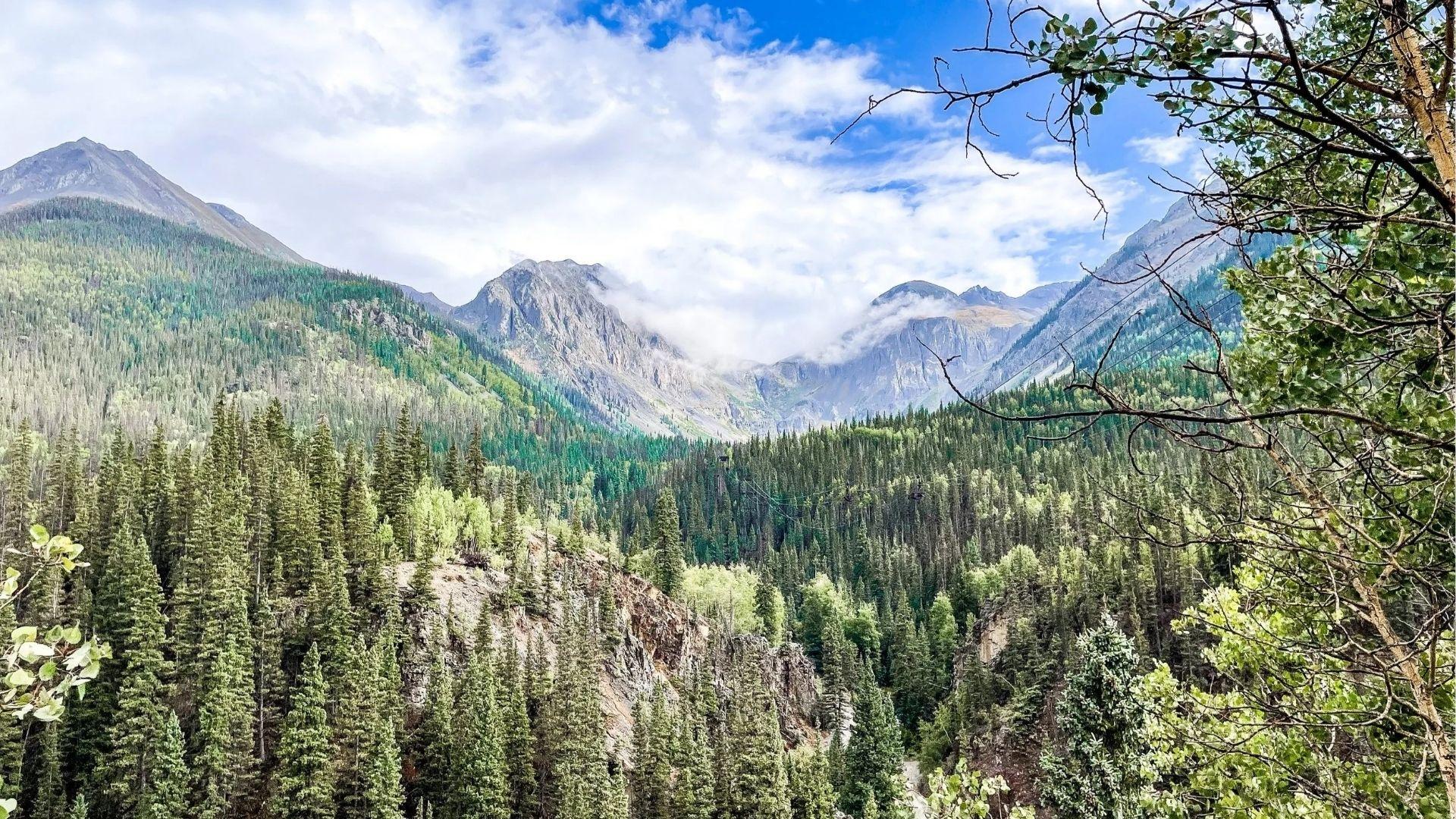 Pine forest valley with rocky cliffs framed by branches and dramatic cloud covered mountain peaks beyond