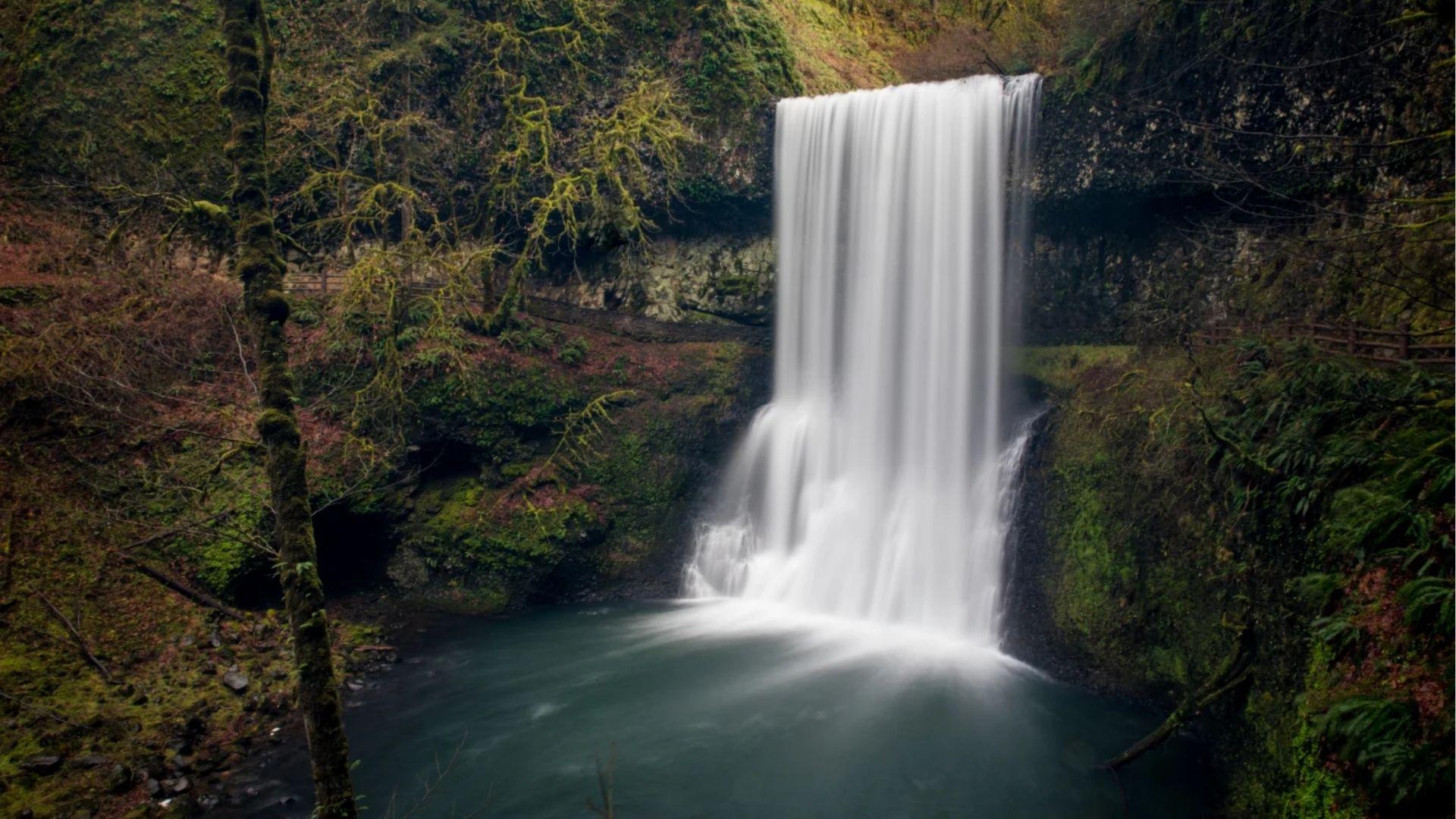 8. Silver Falls State Park, Oregon