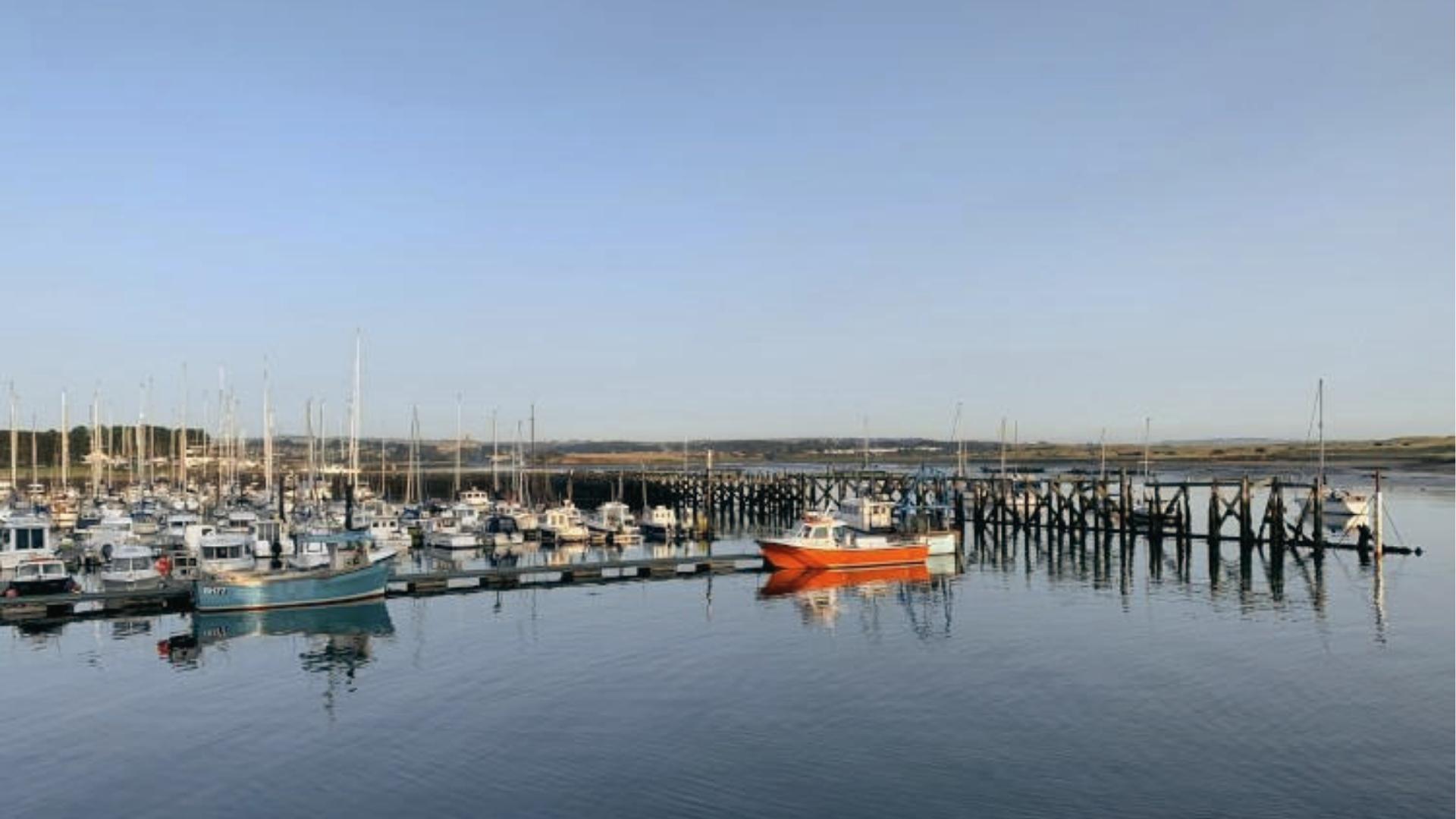 Amble Marina - Series 13 Filming Spot