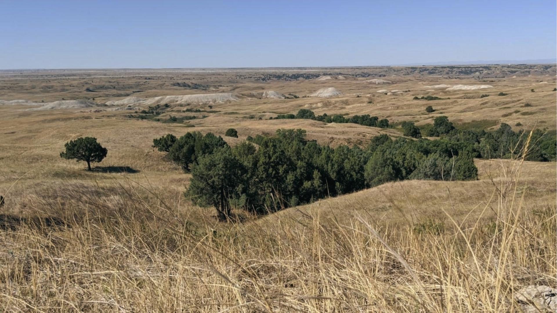 Sage Creek Wilderness Area in Badlands National Park