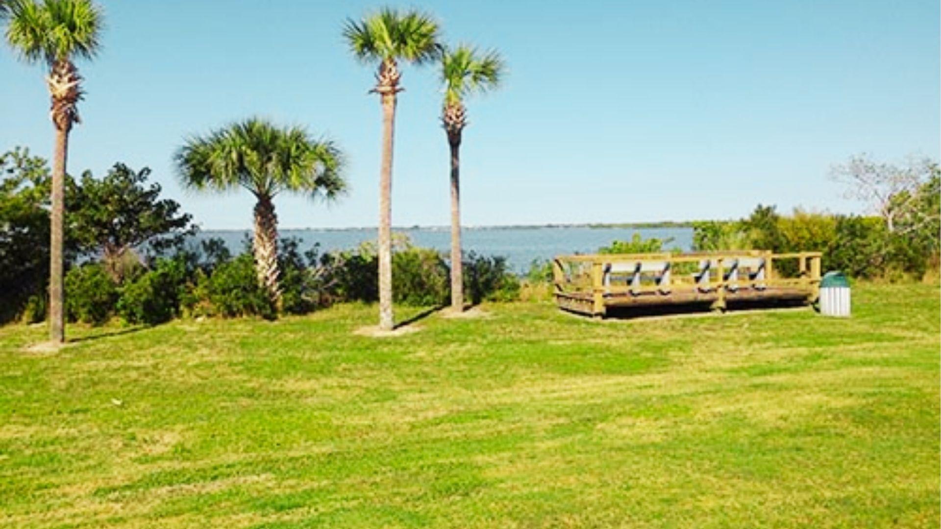 Wooden observation deck with benches overlooks bay surrounded by palm trees and green grass