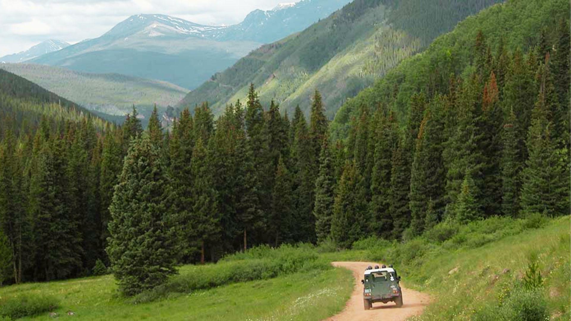 31. Shrine Pass