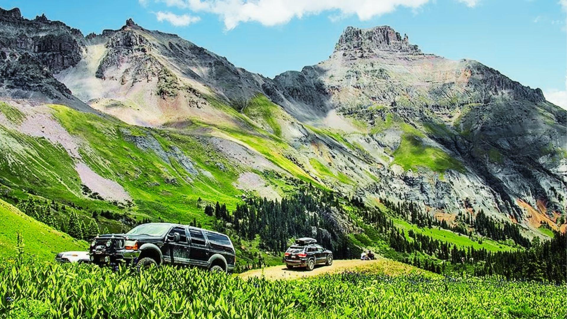 SUVs park on alpine meadow dirt road surrounded by wildflowers with rugged peaks beyond