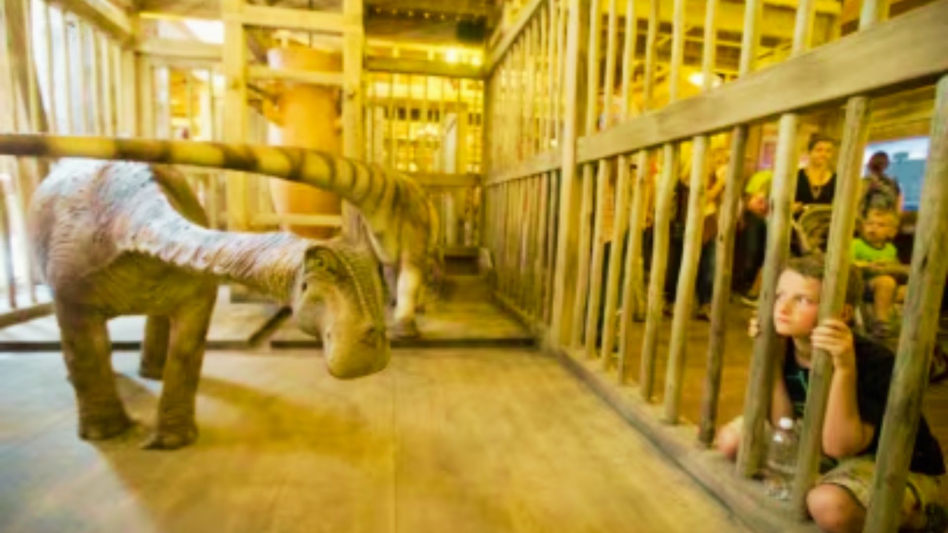 A child peers through wooden bars at a dinosaur model inside the Ark Encounter exhibit.