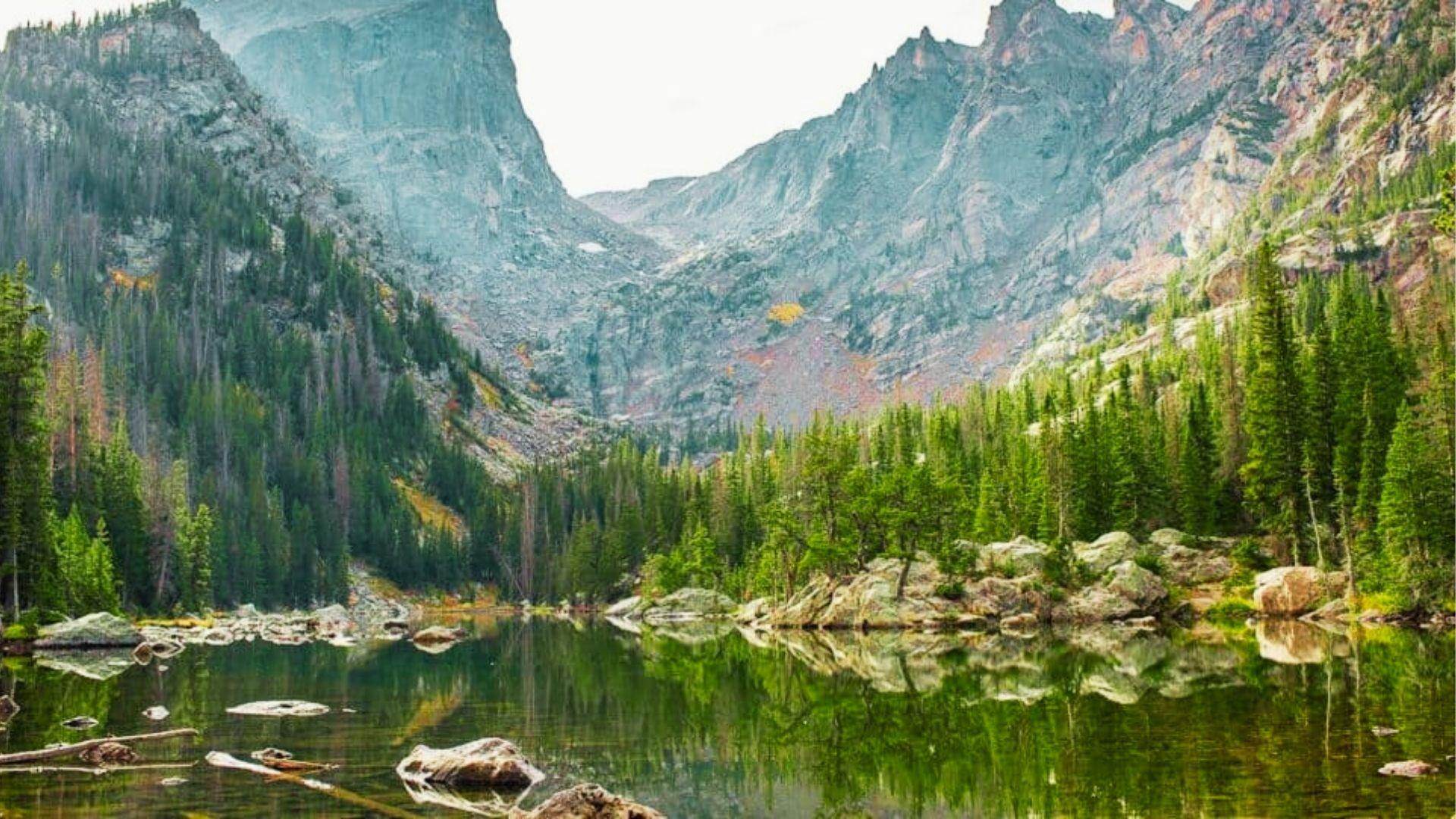 Calm alpine lake reflects pine forest and jagged rocky mountain peaks under soft bright sky