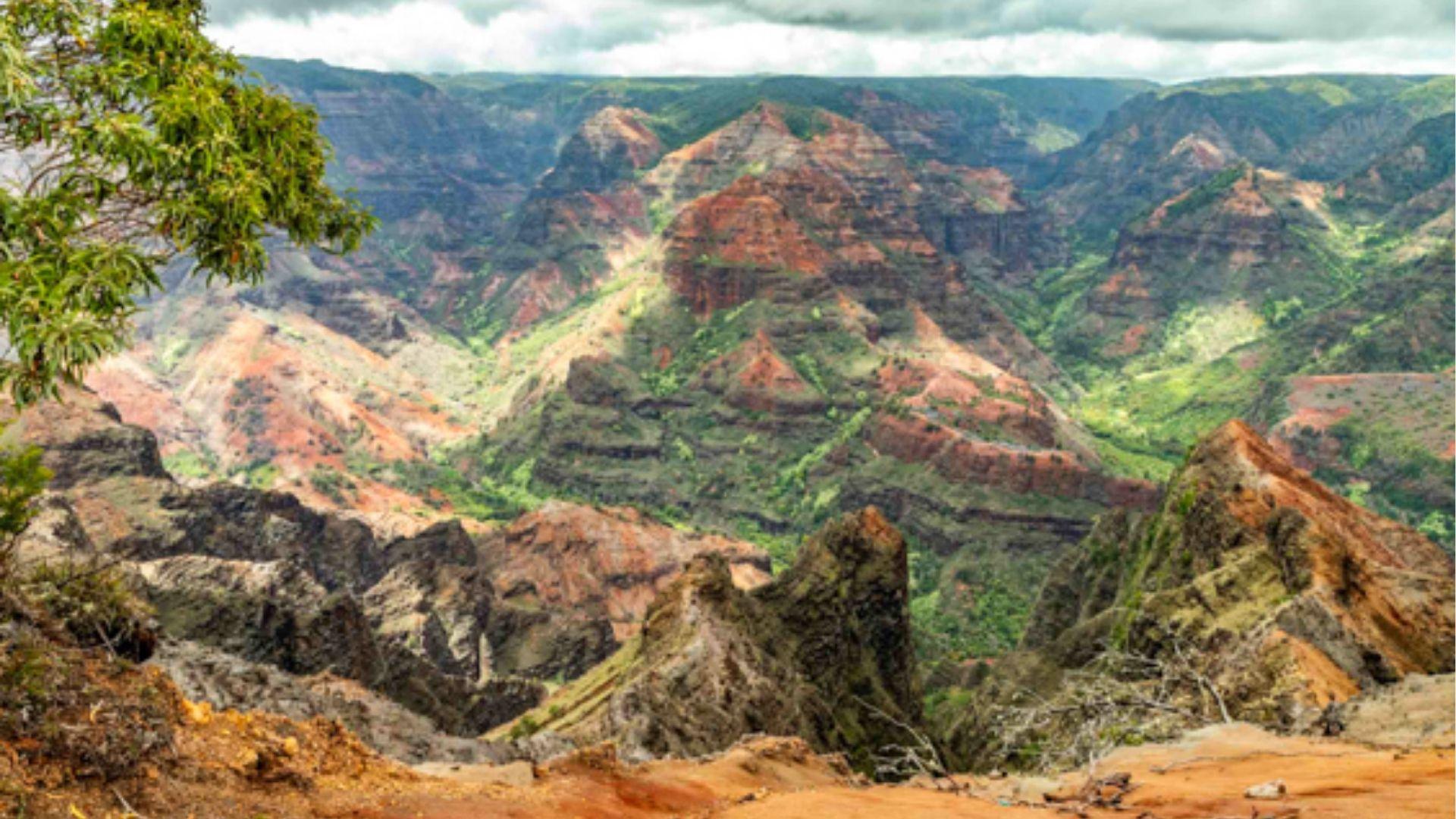 Waimea Canyon Scenic Backdrops