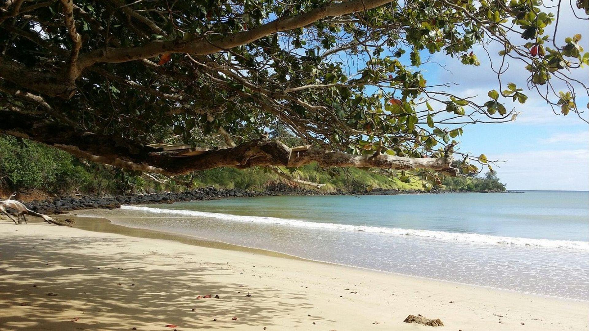 Hanamaulu Bay and the Main Beach Filming Locations