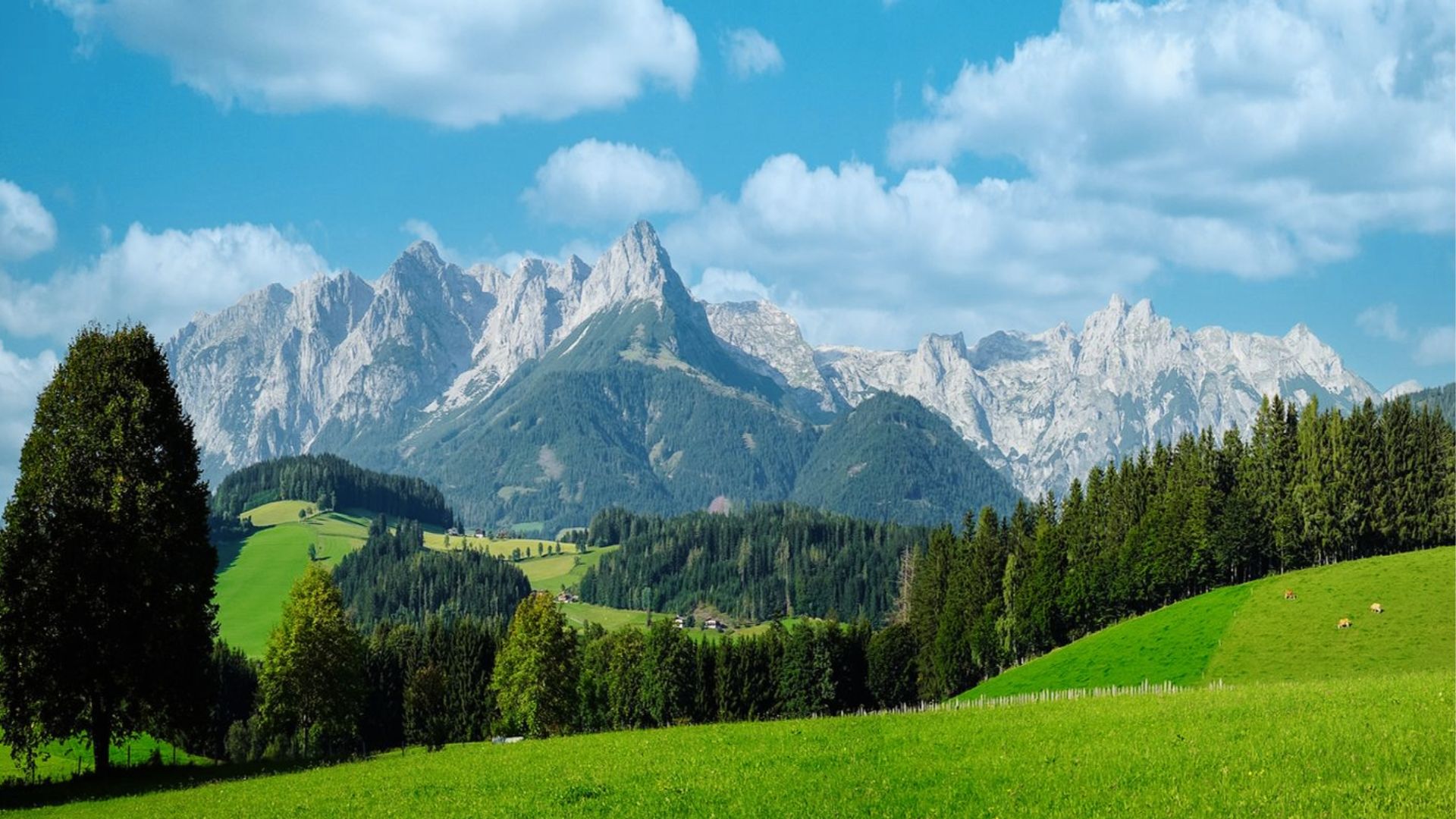 “The Mehlweg Meadow” is one of the most famous “Sound of Music" filming locations in Salzburg.