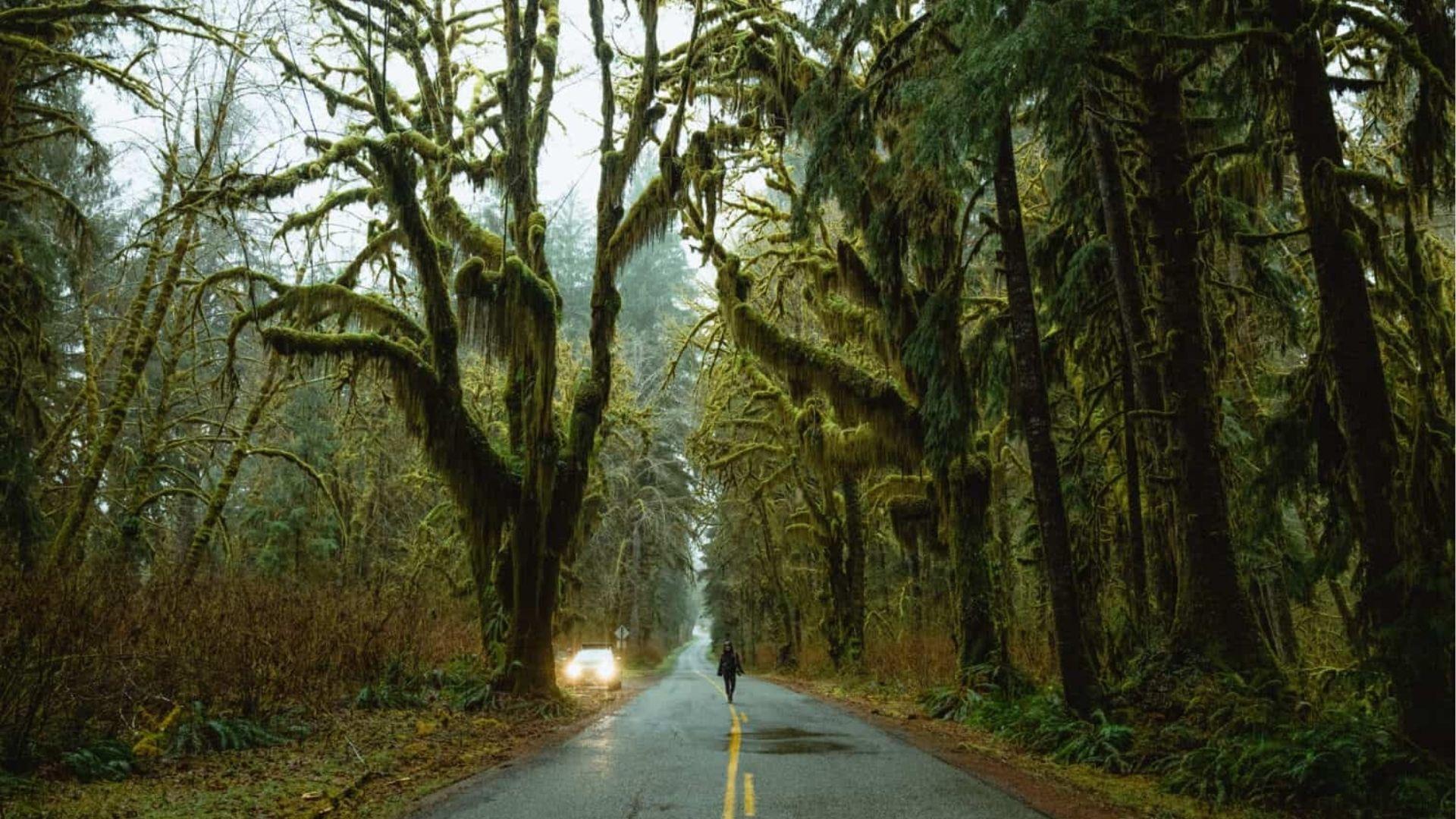 1. Forks, Washington