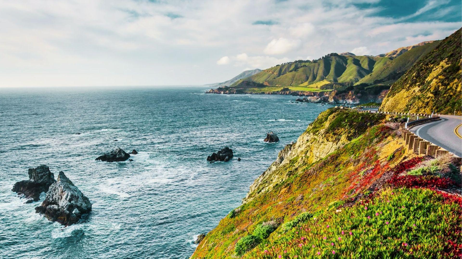 Coastal highway curves along cliffs with colorful wildflowers, rocky shoreline, and blue ocean waves
