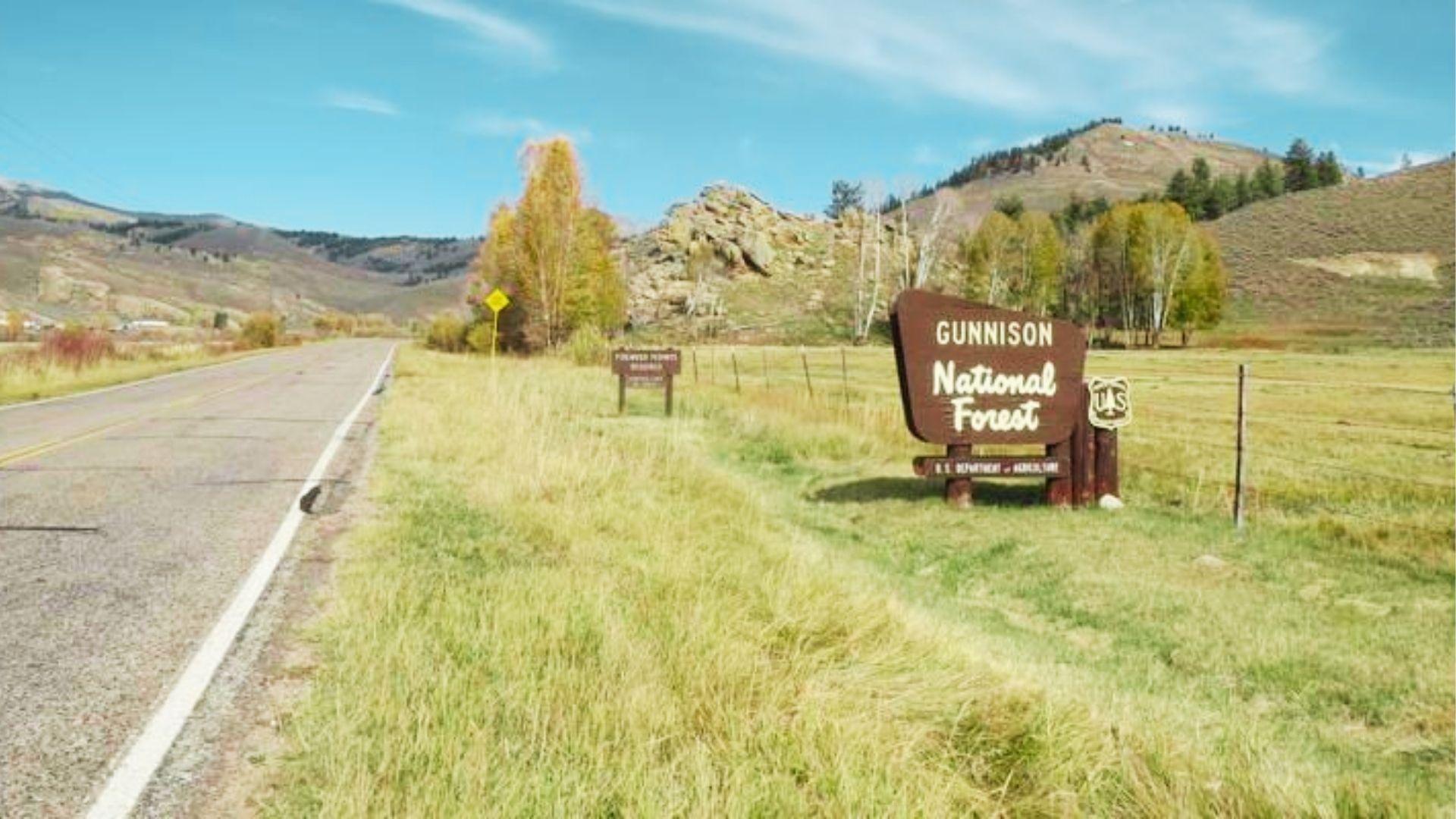 Roadside sign for Gunnison National Forest stands beside highway with mountains and golden grass