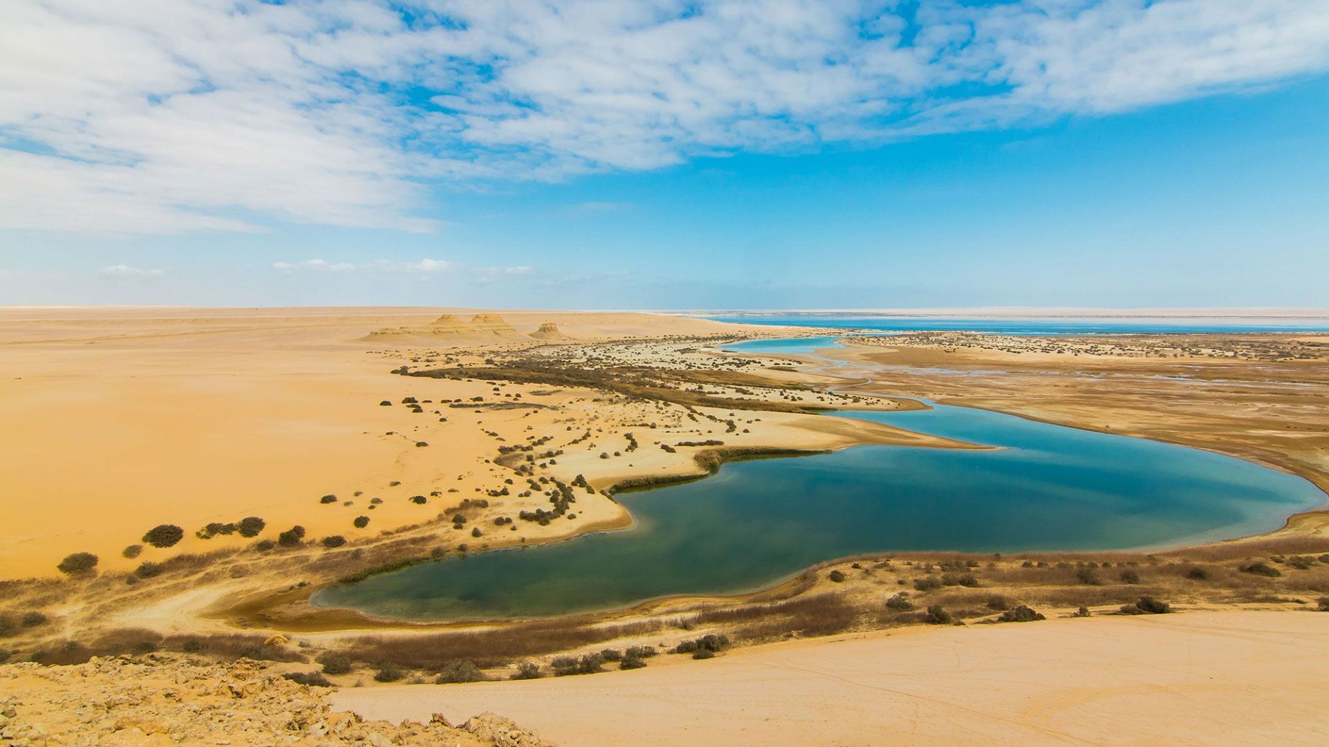  IMAGE OF FAYOUM OASIS