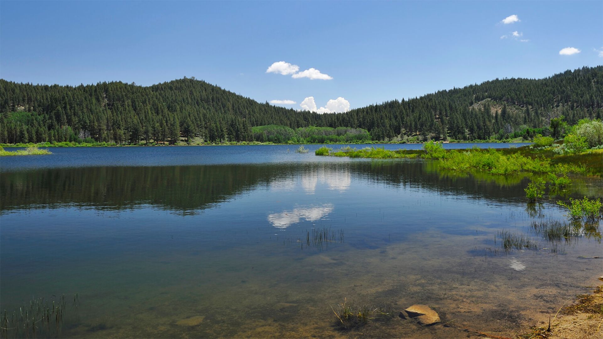 A photo of spooner lake trail
