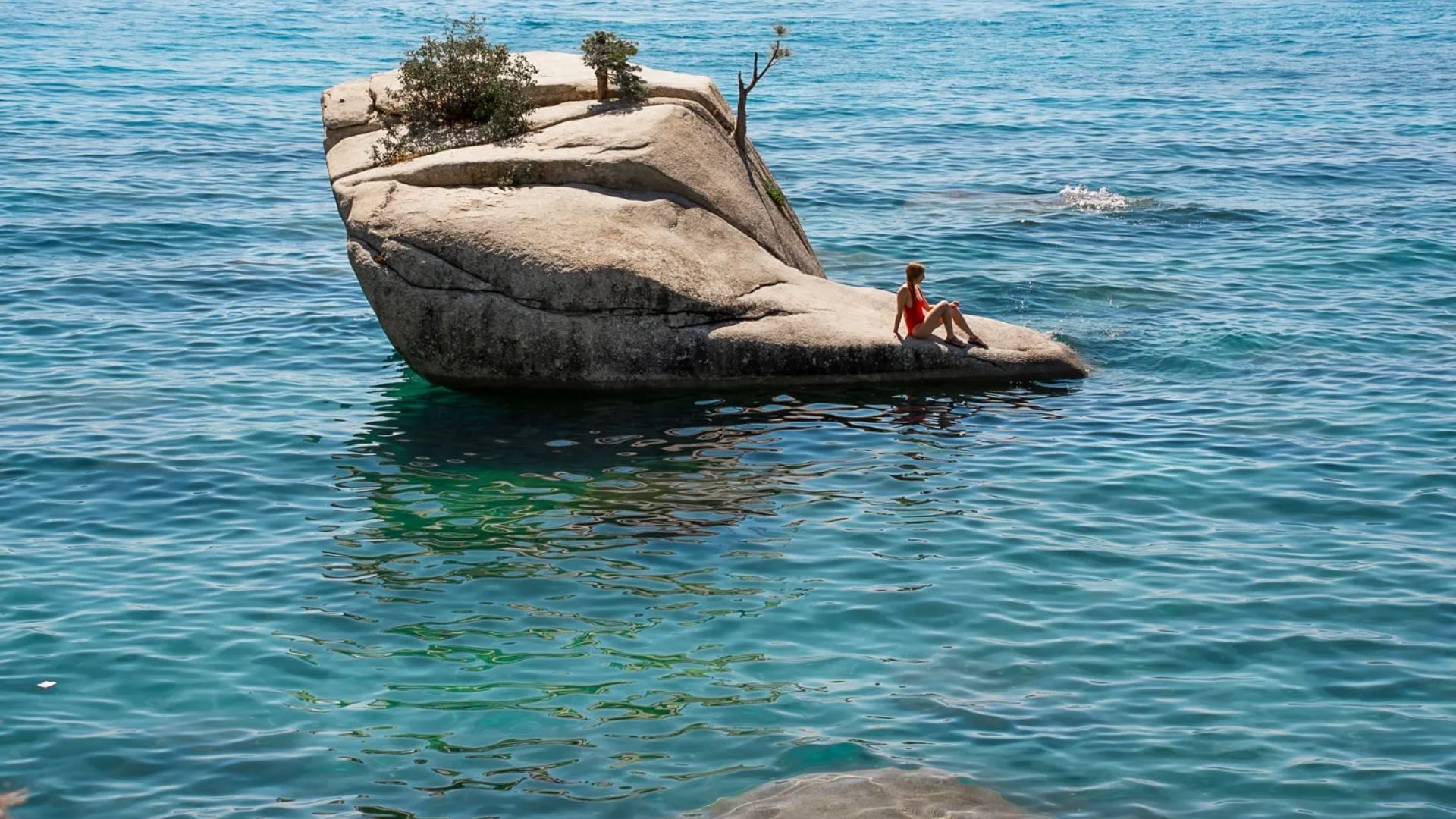 A photo of Bonsai Rock
