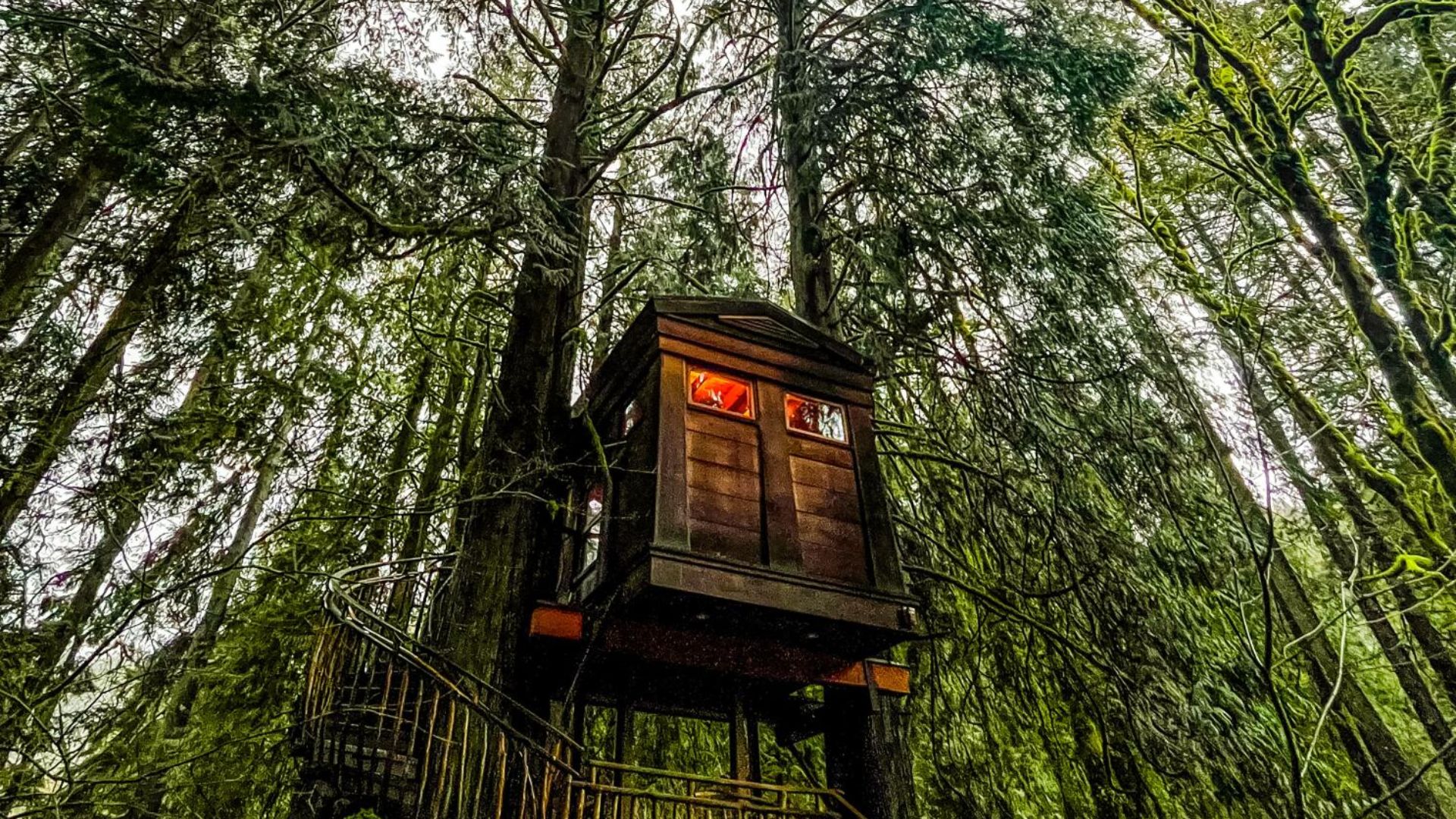 A PHOTO OF A TREEHOUSE
