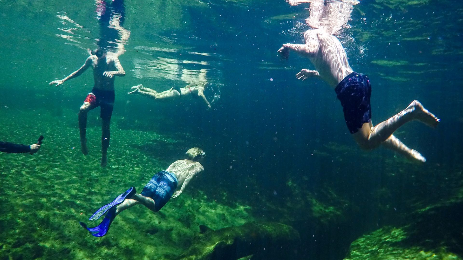 A GROUP OF PEOPLE SNORKELING IN FRESHWATER
