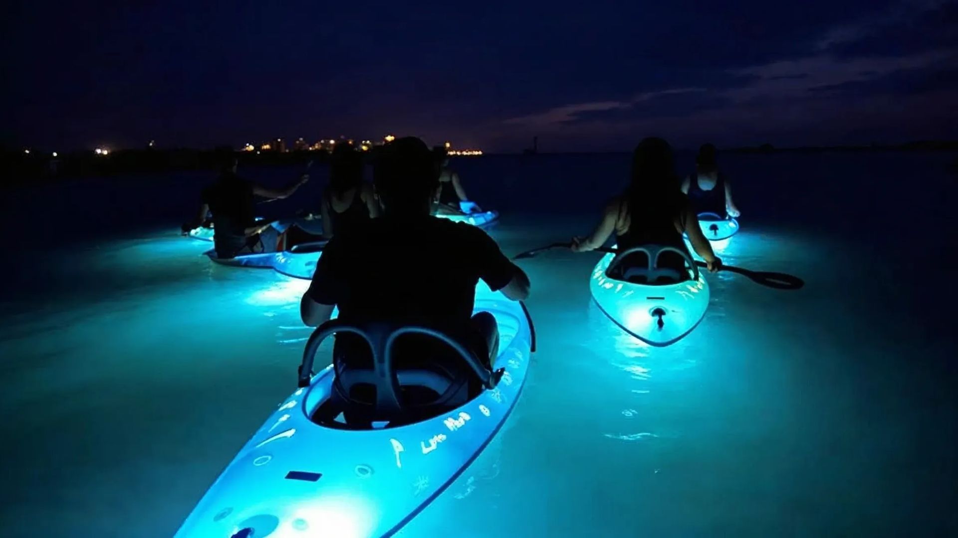 A GROUP OF PEOPLE KAYAKING IN BIOLUMINESECENT WATERS
