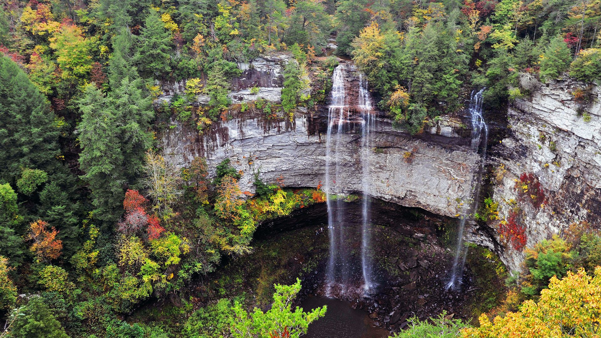 A PHOTO OF BEAUTIFUL ABRAMS FALL
