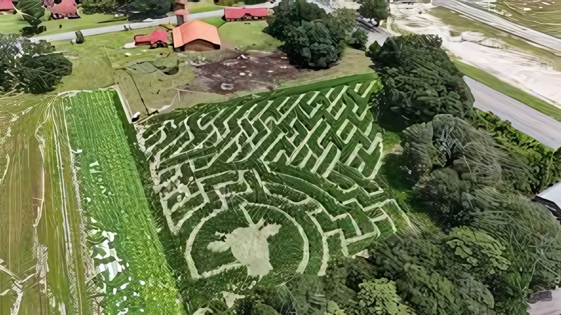 A SATELLITE VIEW OF CORN MAZZE FARM
