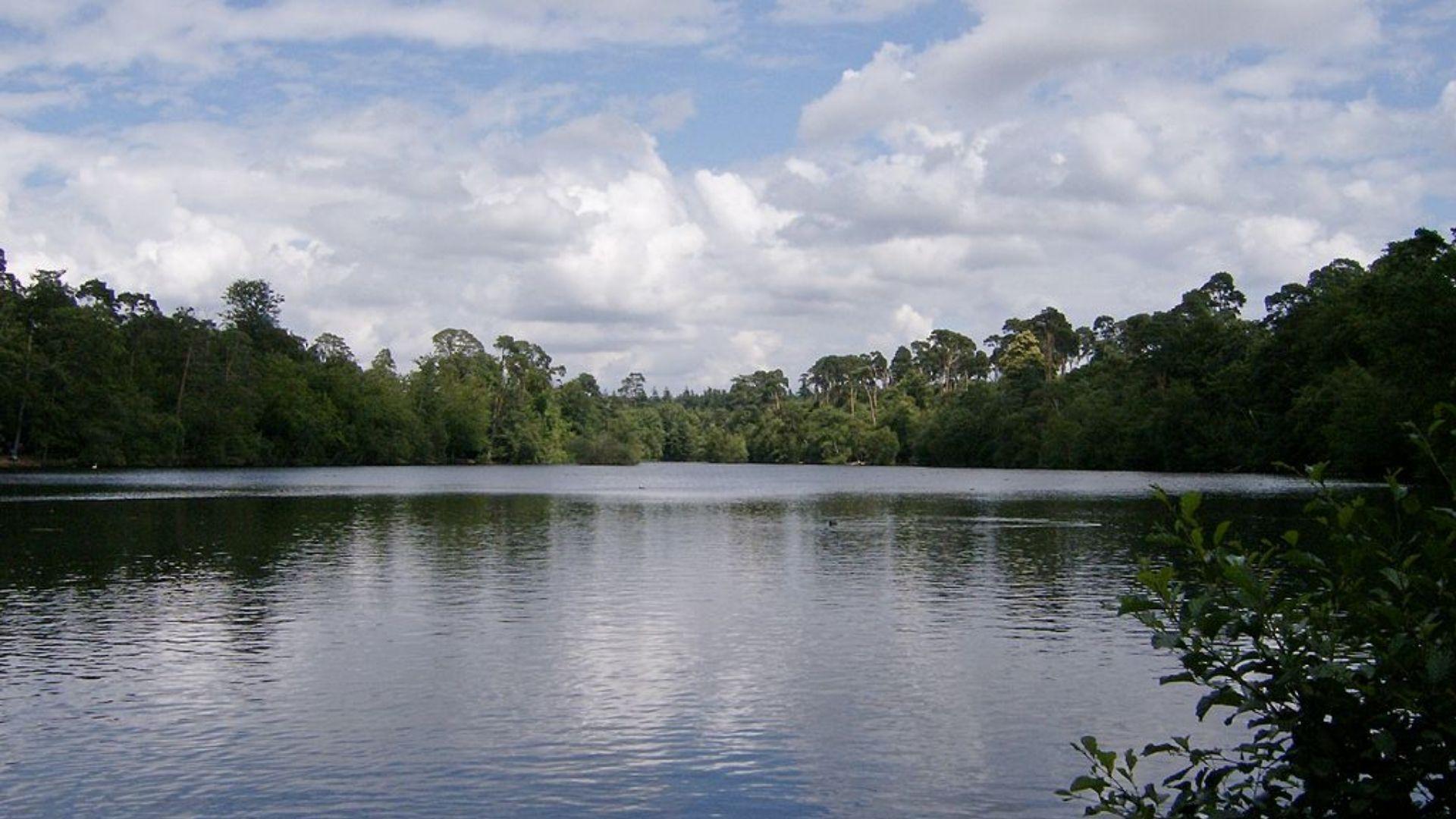 A tranquil lake surrounded by tall green trees under a partly cloudy sky.