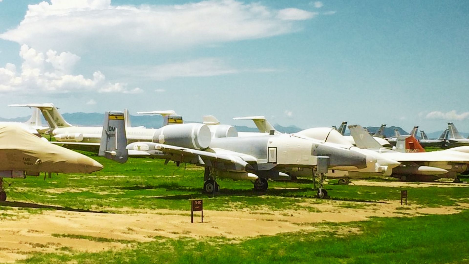 Rows of military aircraft, including an A-10 Warthog, parked on grass under blue sky.