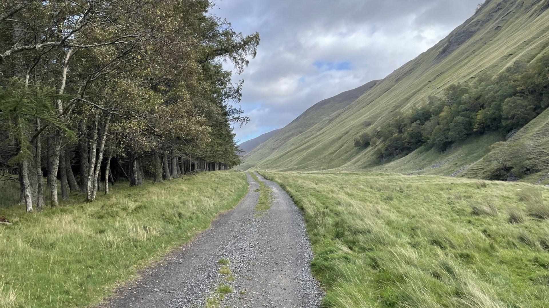 A narrow gravel track through a Scottish Highland glen flanked by birch trees and grassy slopes.