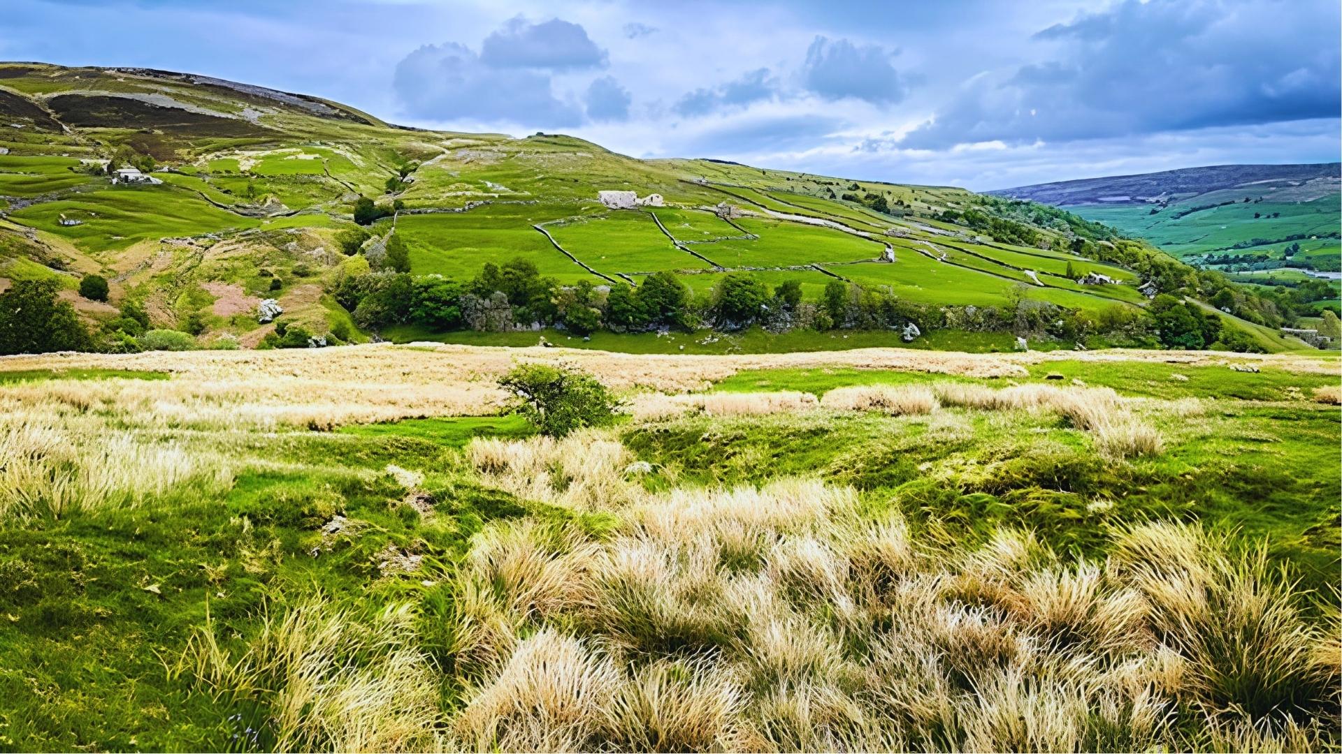 Vast Yorkshire Dales moorland with green hills and stone walls, iconic Wuthering Heights filming location.