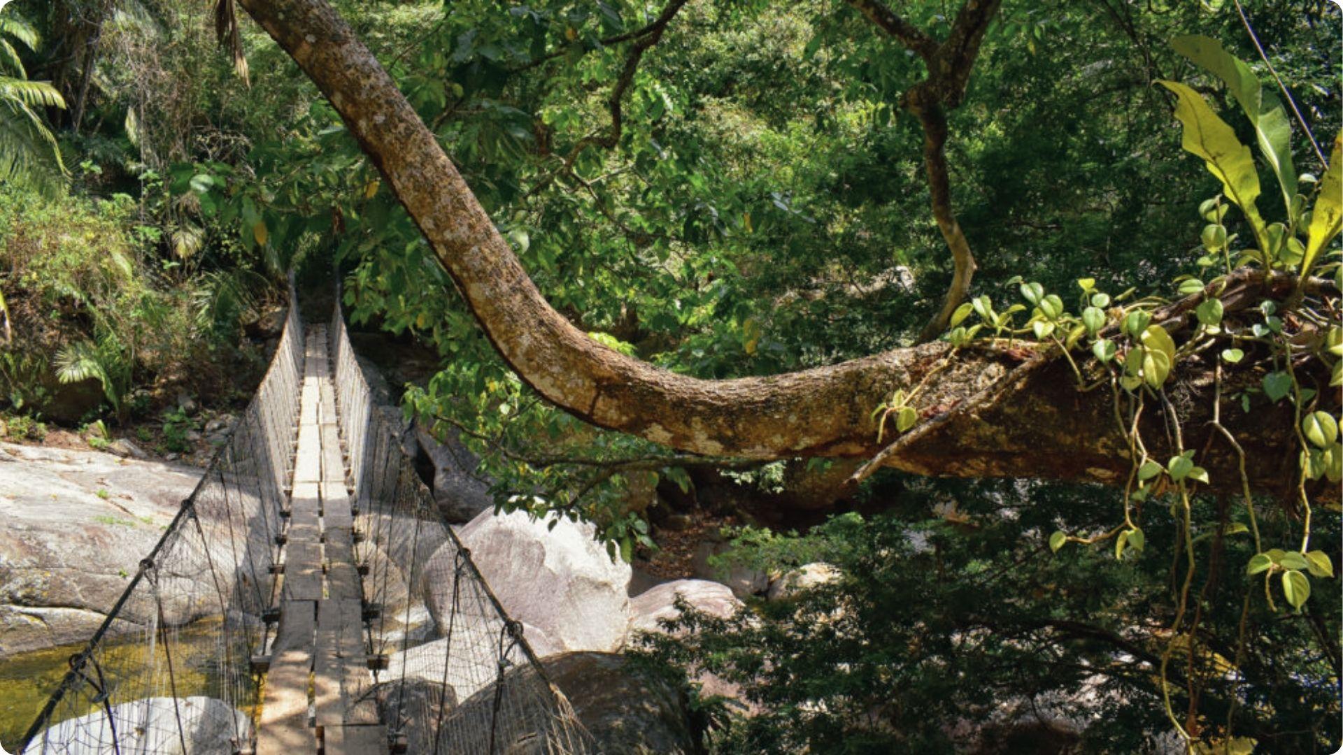 Aerial view of Palenque Palace with stone tower amid jungle, seen in Predator movie.