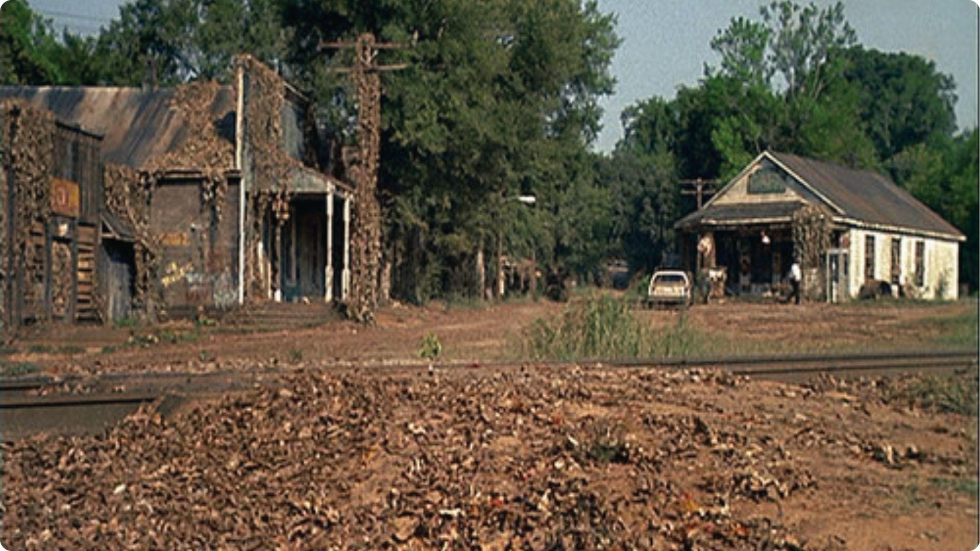 Abandoned vine-covered buildings and railroad tracks in Whistle Stop film set, Juliette.