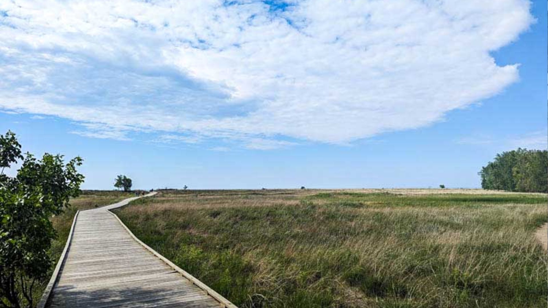 Wooden boardwalk through open grassland at Headlands Beach State Park, Mentor, Ohio