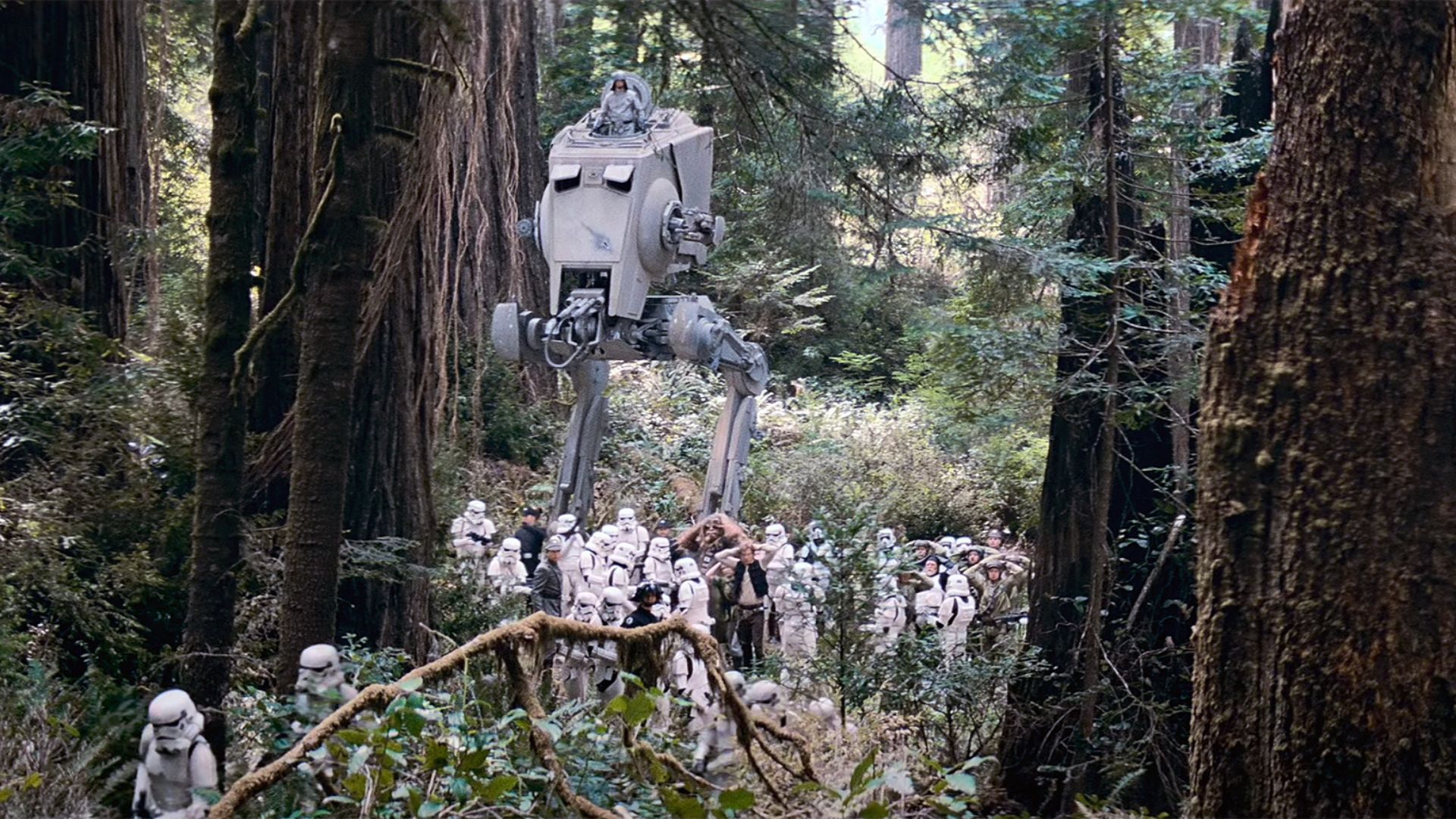 Scenic view of Endor filming location, showcasing lush forests where scenes from Return of the Jedi were filmed.