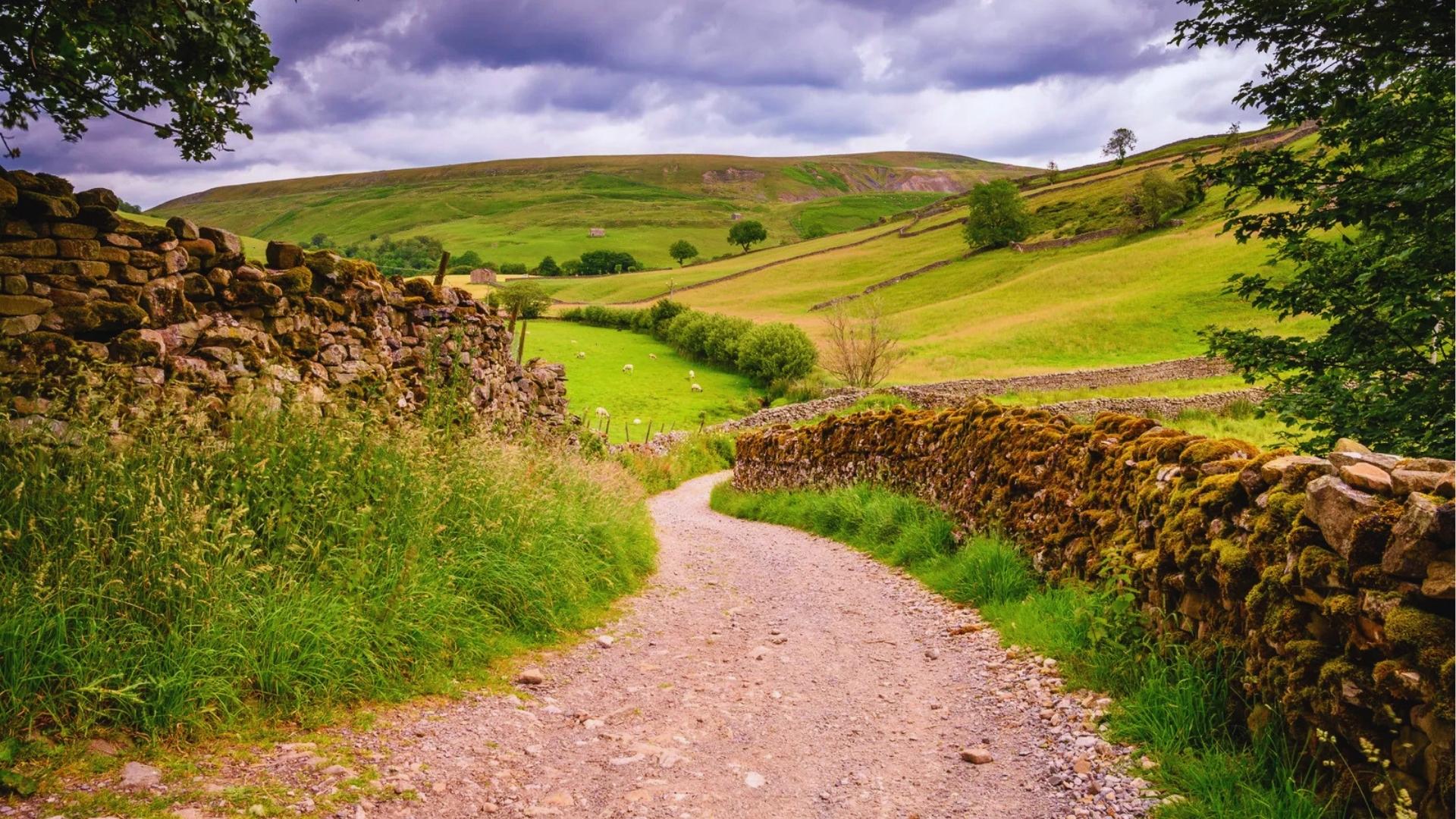Narrow stone-walled lane winding through Yorkshire Dales green hills, Wuthering Heights moors filming location.