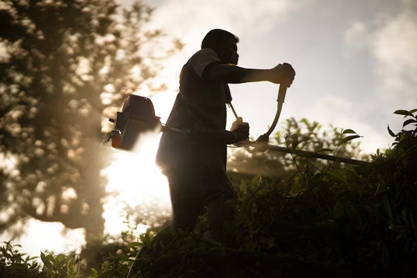 Benefits of a Hedge Trimmer Edger Combo
